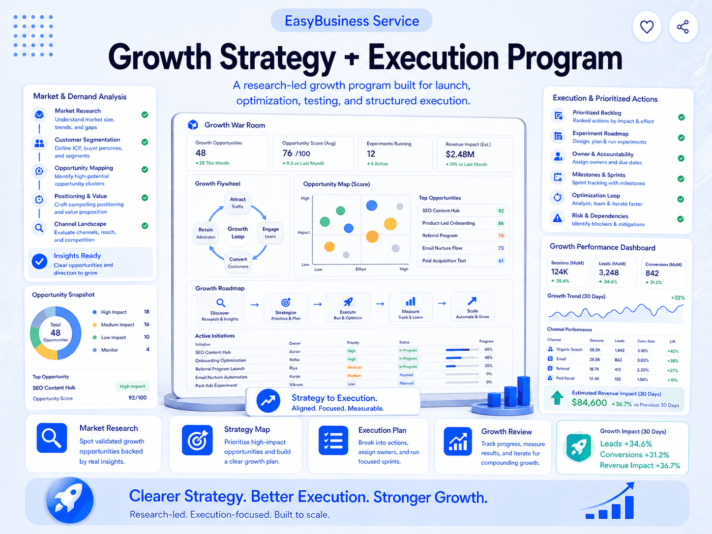 Growth Strategy + Execution Program